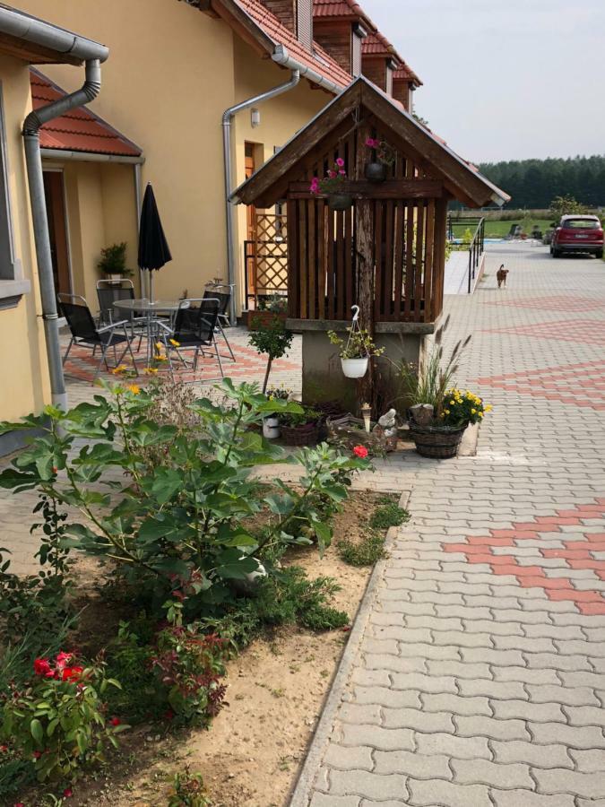 S'Schnoganeschd Villa Nemesvid Exterior foto